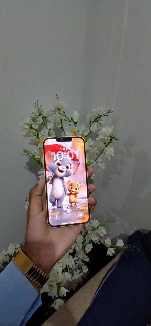 Apple iPhone 14 4