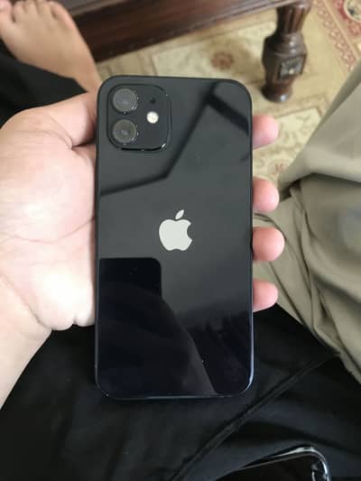 iPhone 12