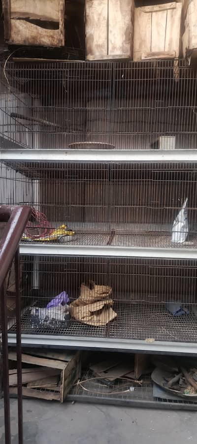Multi level bird cage
