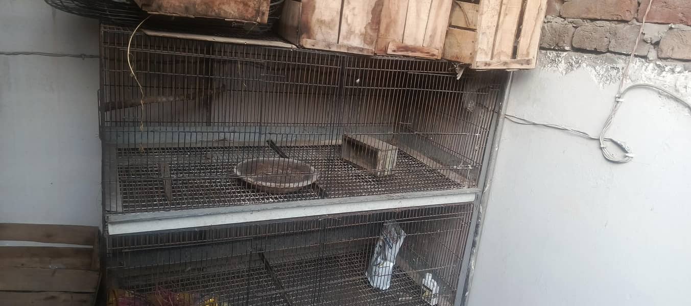 Multi level bird cage 4