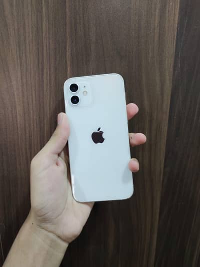 Apple iPhone 12 water pack