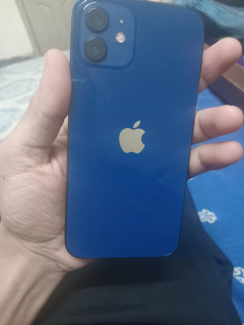 Apple iPhone 12 1