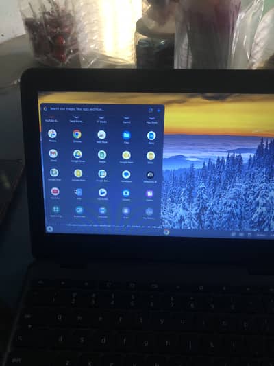 chrome book