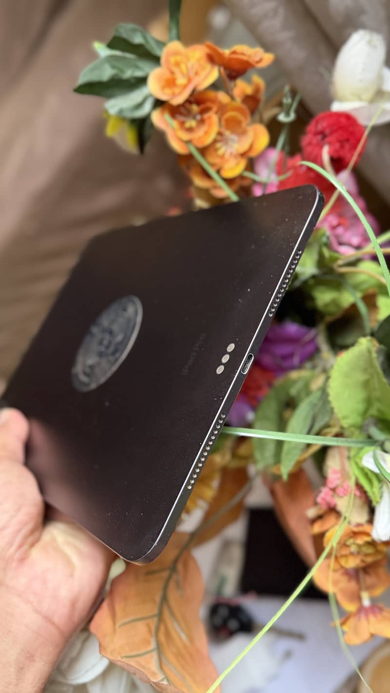 Ipad M4 256gb 1