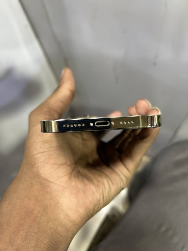 Apple iPhone 13 Pro Max 1