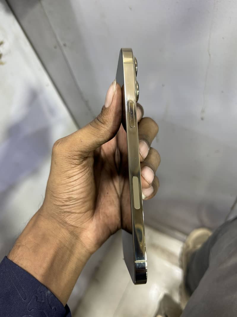 Apple iPhone 13 Pro Max 2