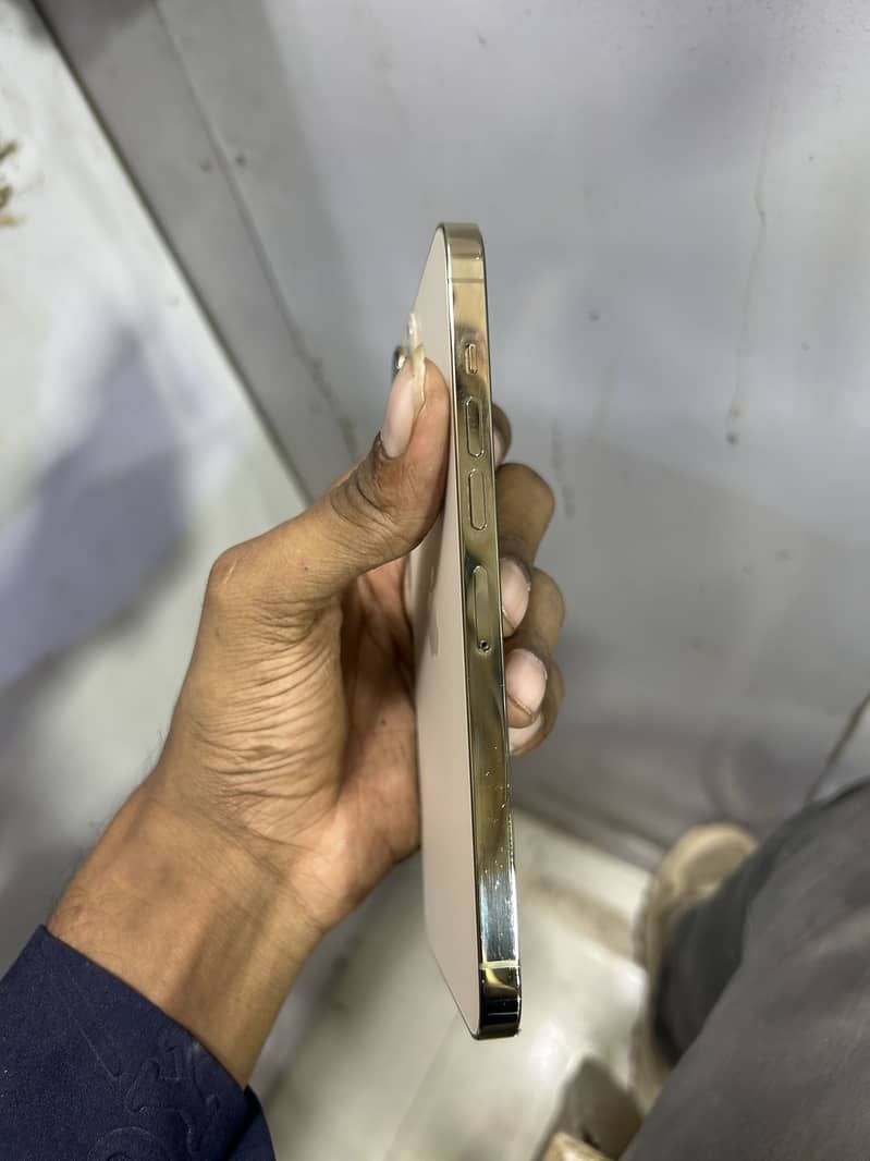 Apple iPhone 13 Pro Max 3