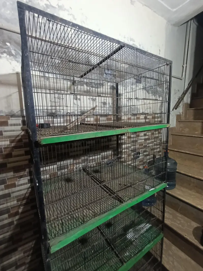 Birds Cage available 03234262875 — photo 3