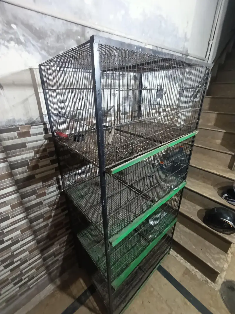 Birds Cage available 03234262875 — photo 4