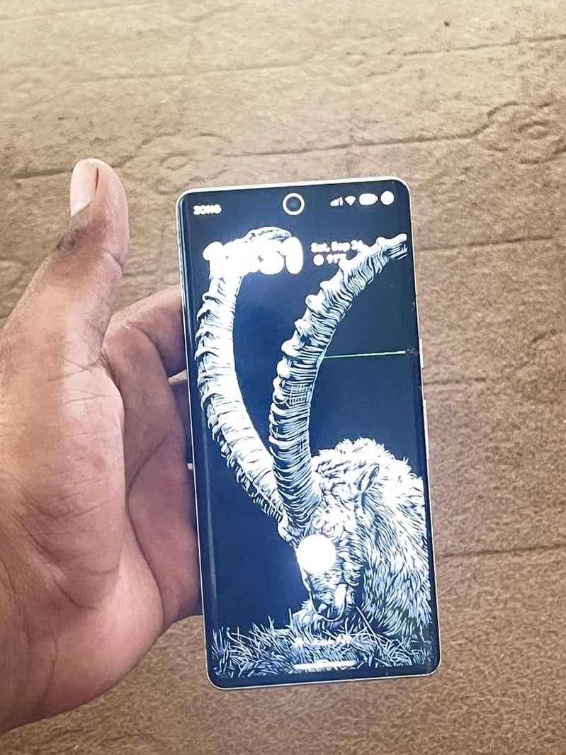 Google Pixel 7 Pro 2