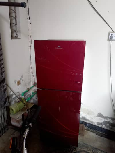 Electrolex Refrigerator/Electrolex Fridge/Dobule Door/Excellentcooling