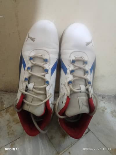 White Puma BMW M Motorsport R-Cat Machina Shoes