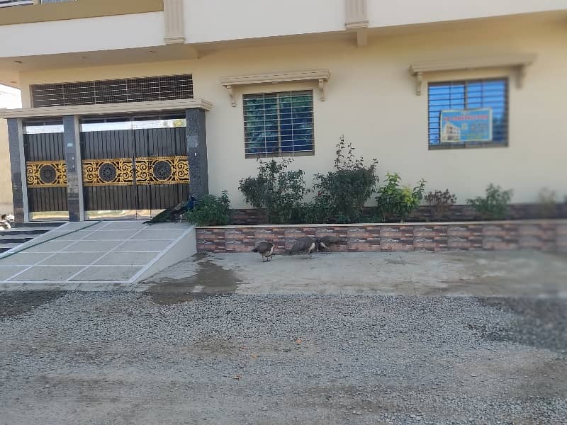 TRANSFER PLOT FOR SALE 3