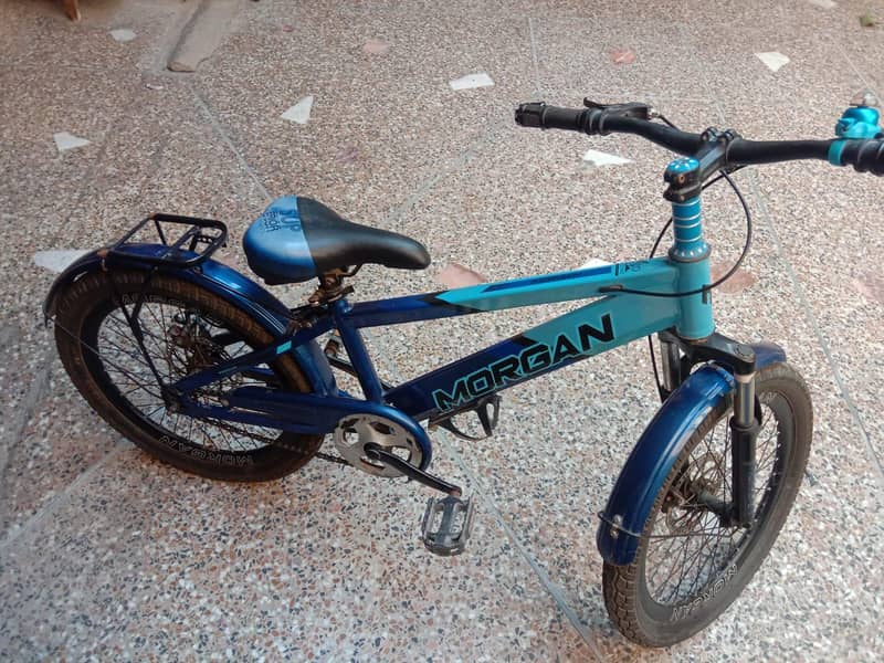 cycle 2025 model 12