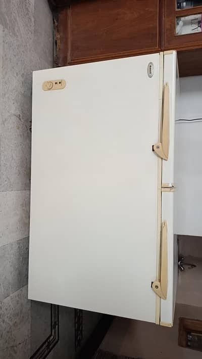 WAVES DEEP FREEZER DOUBLE DOOR ( 15 Cu. ft. )