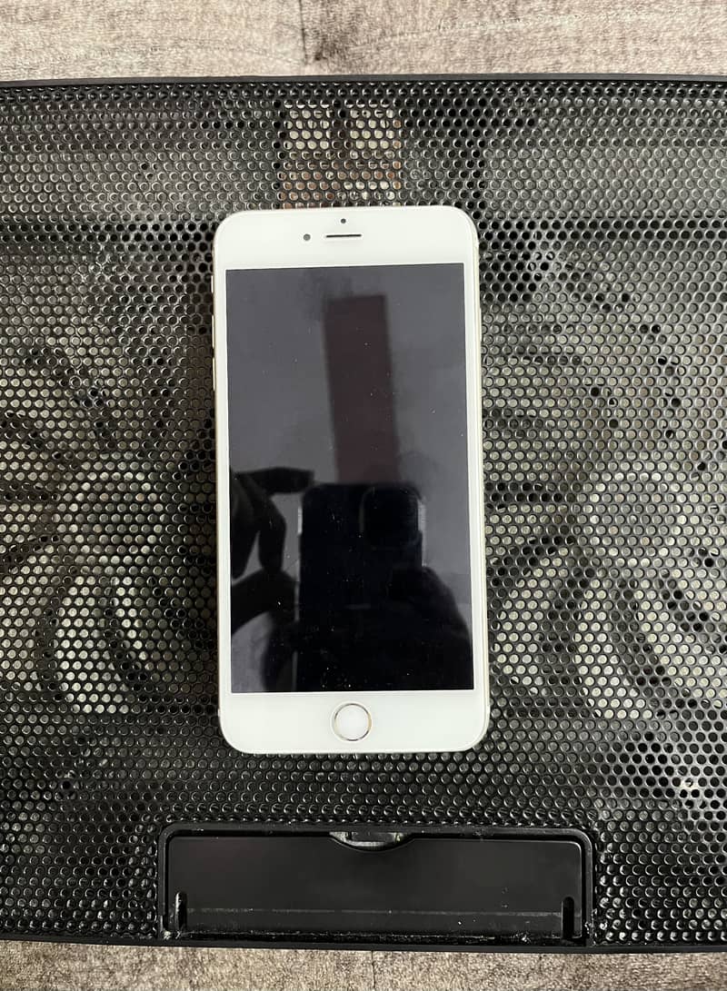 Apple iPhone 6 Plus 1