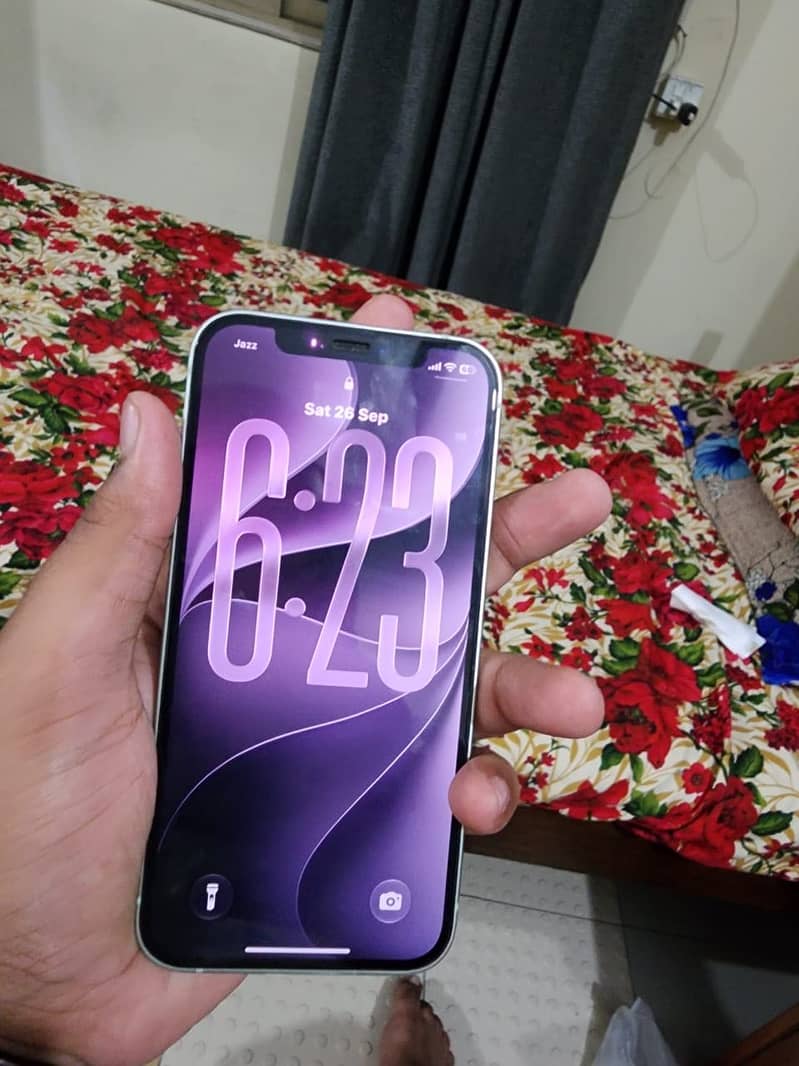 Apple iPhone 12 1