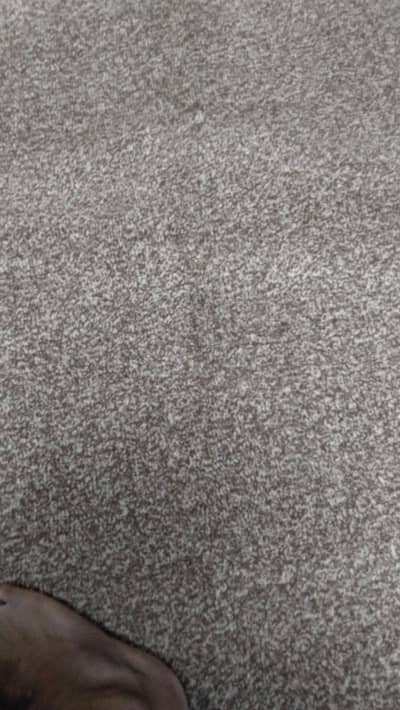 Room Carpet