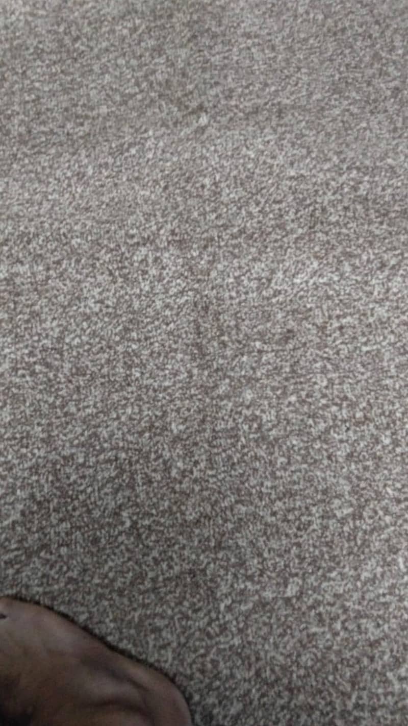 Room Carpet 0