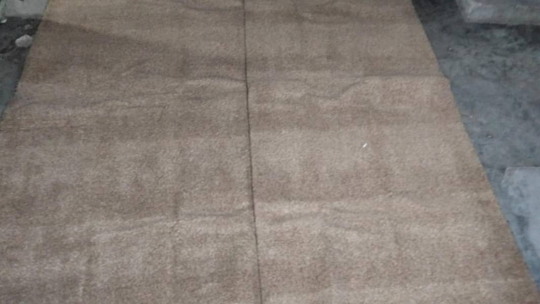 Room Carpet 1