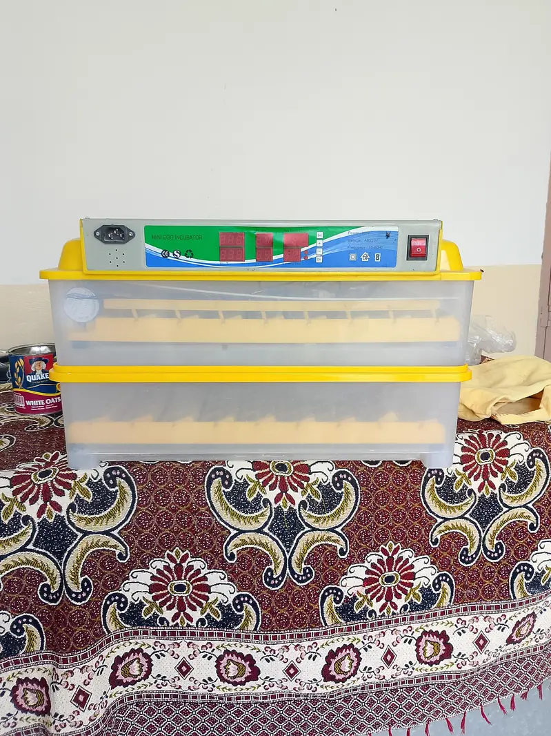 Chinese incubator — photo 2