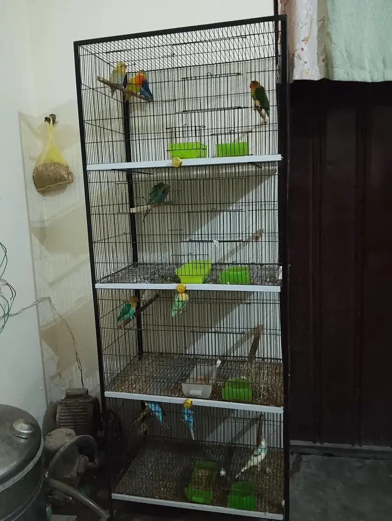 all sale together with cage — photo 8