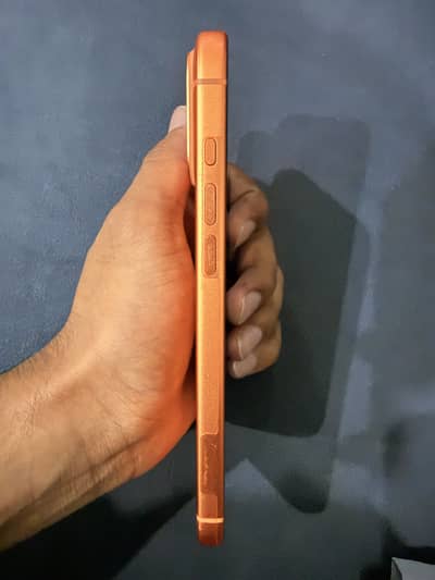 iPhone 17 Pro Max 256GB 100% Battery Health