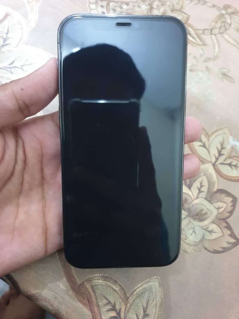Apple iPhone 12 Pro 4