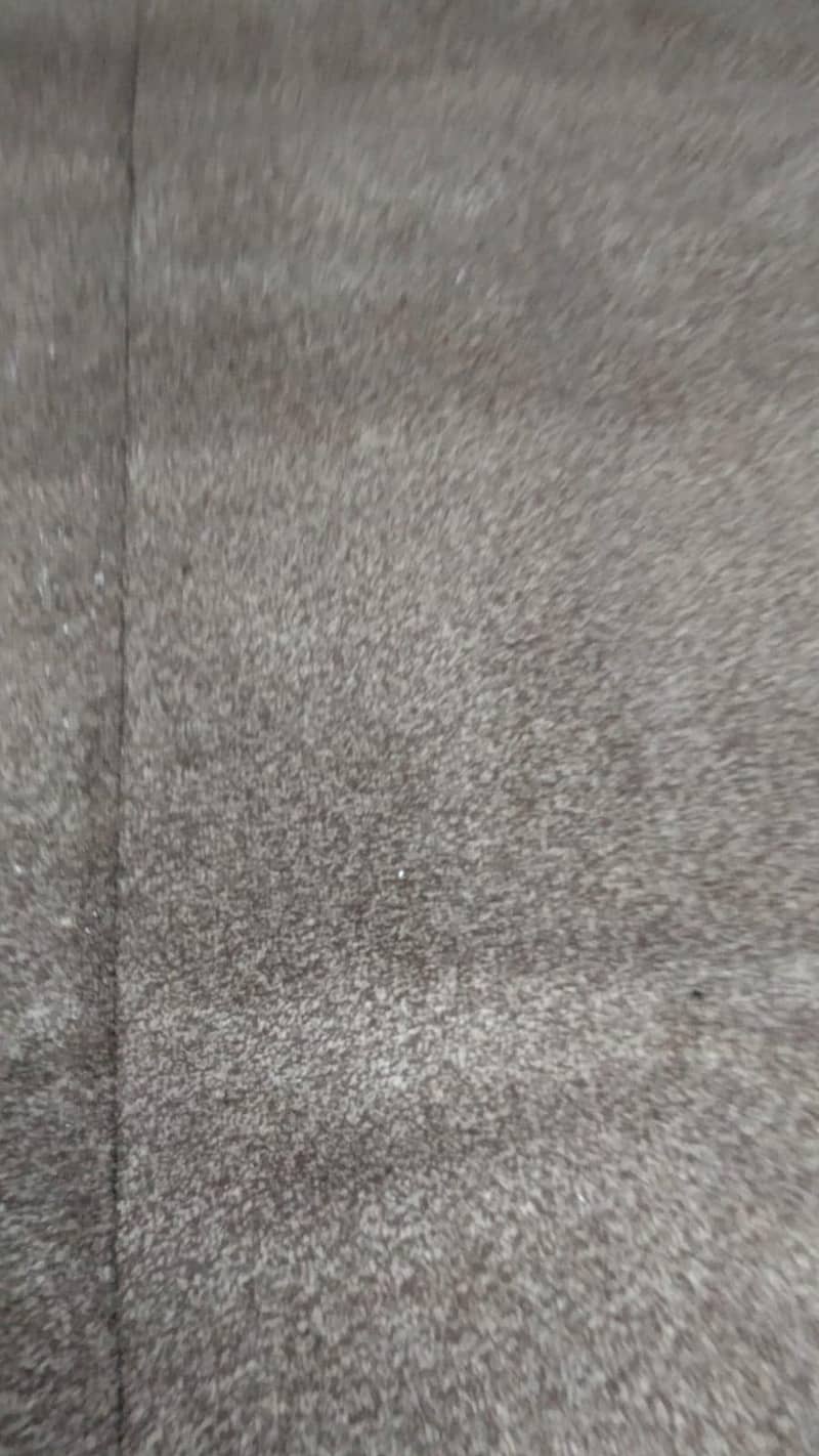 Room Carpet 2