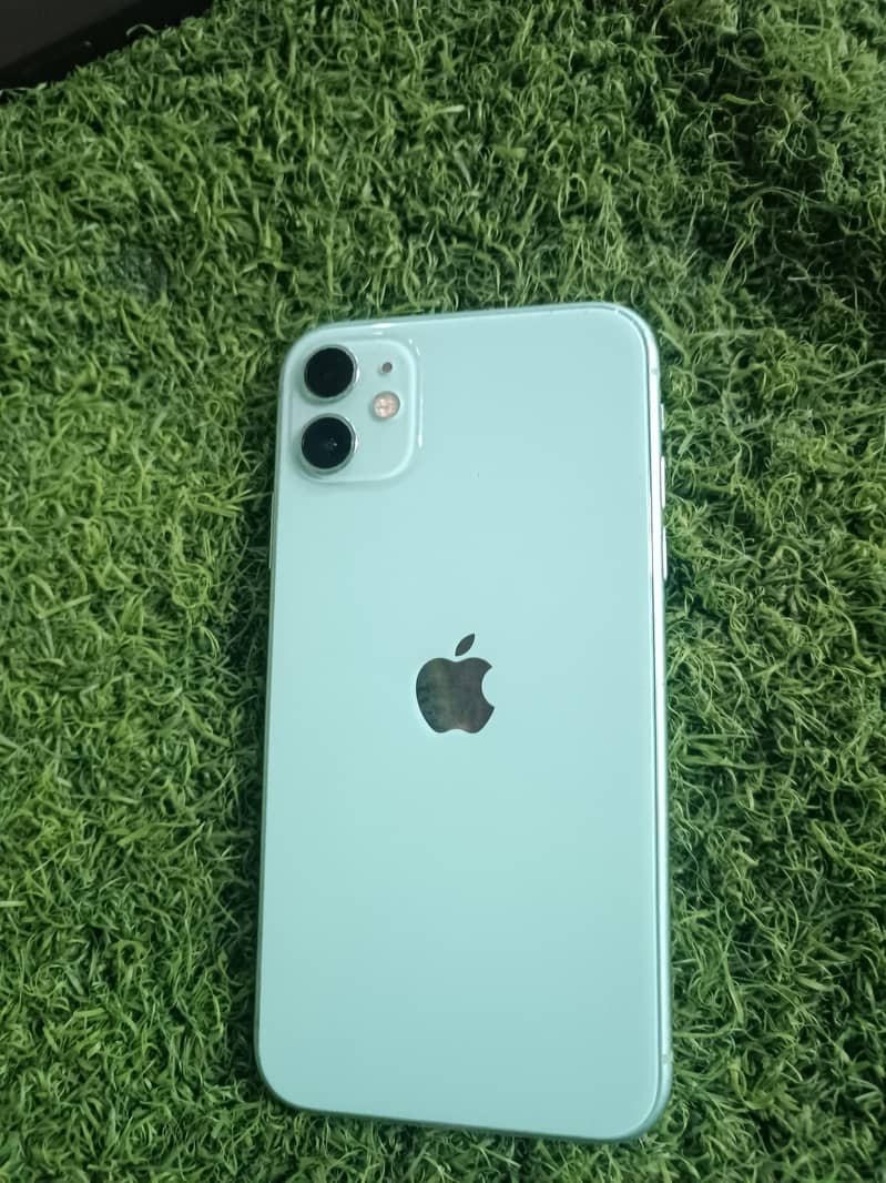 Apple iPhone 11 0