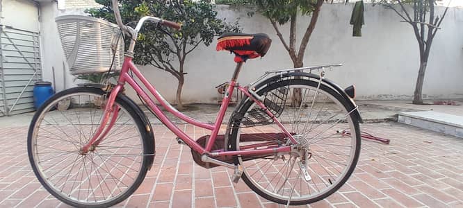 japani cycle