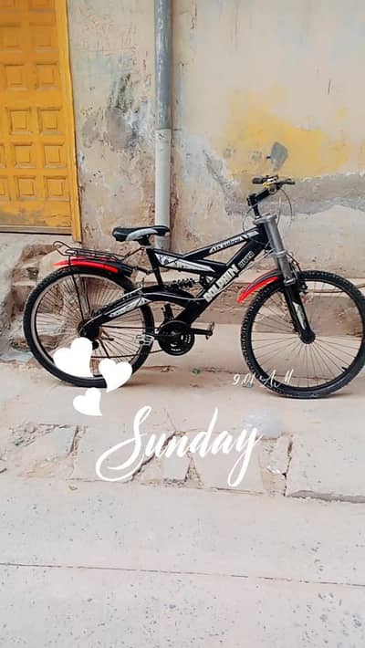Dolphin river bicycle for sale best condition best quality