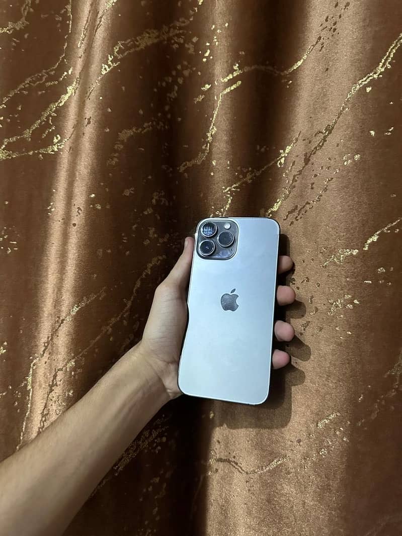 Apple iPhone 13 Pro Max 0