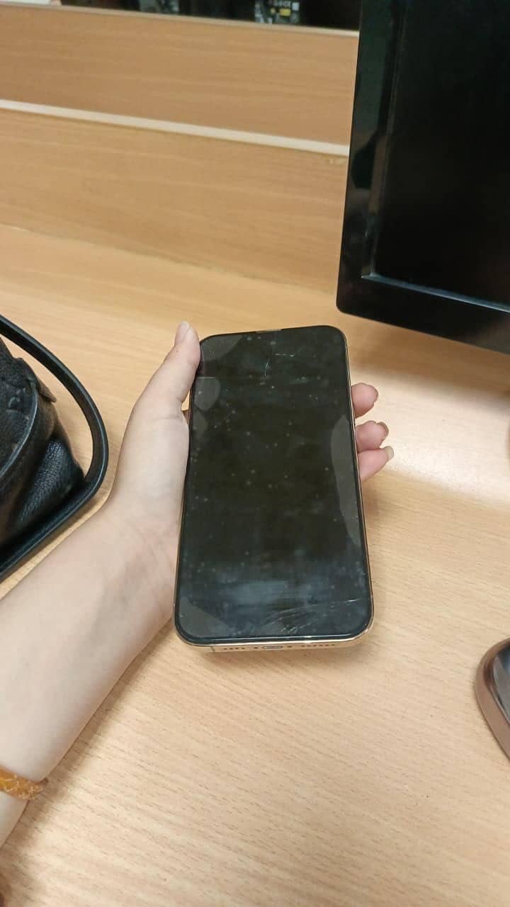 Apple iPhone 13 Pro Max 1