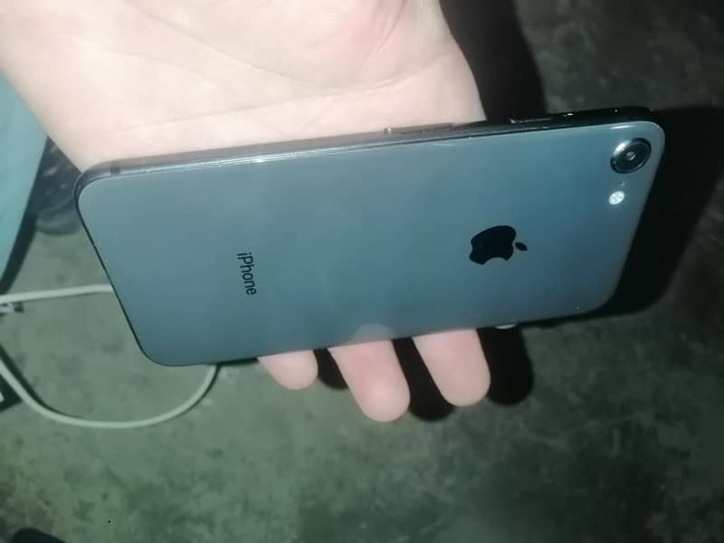 Apple iPhone 8 6