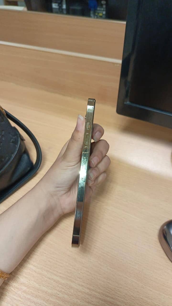 Apple iPhone 13 Pro Max 3