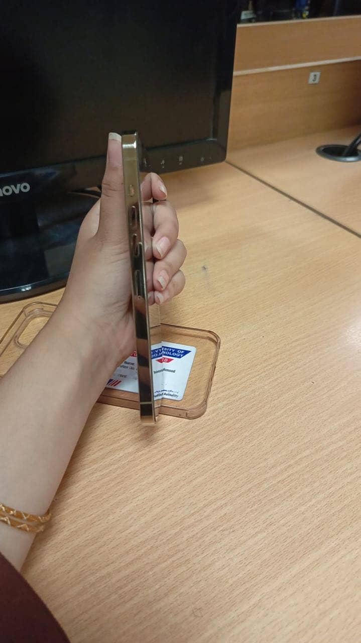 Apple iPhone 13 Pro Max 6