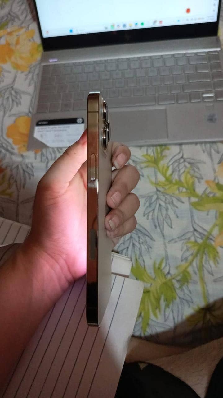 Apple iPhone 13 Pro Max 9