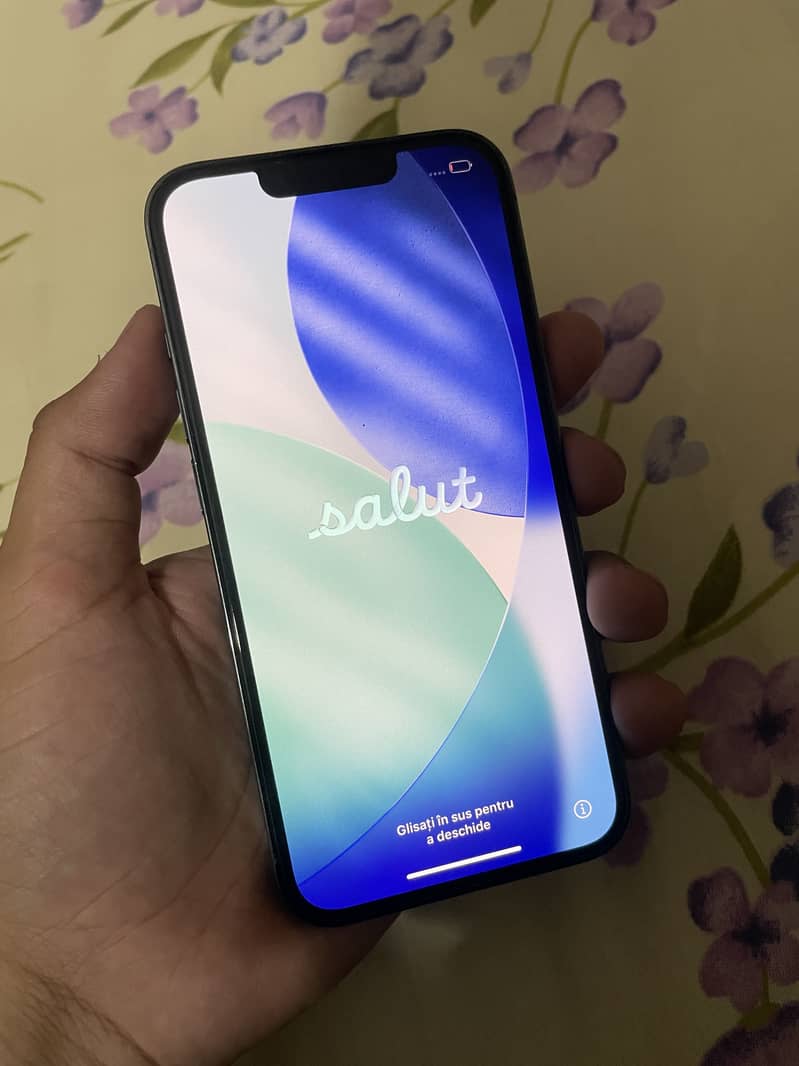 Apple iPhone 13 Pro 1