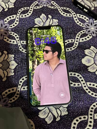 Apple iPhone 13 Pro Max