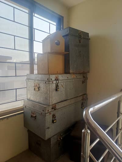 used trunk