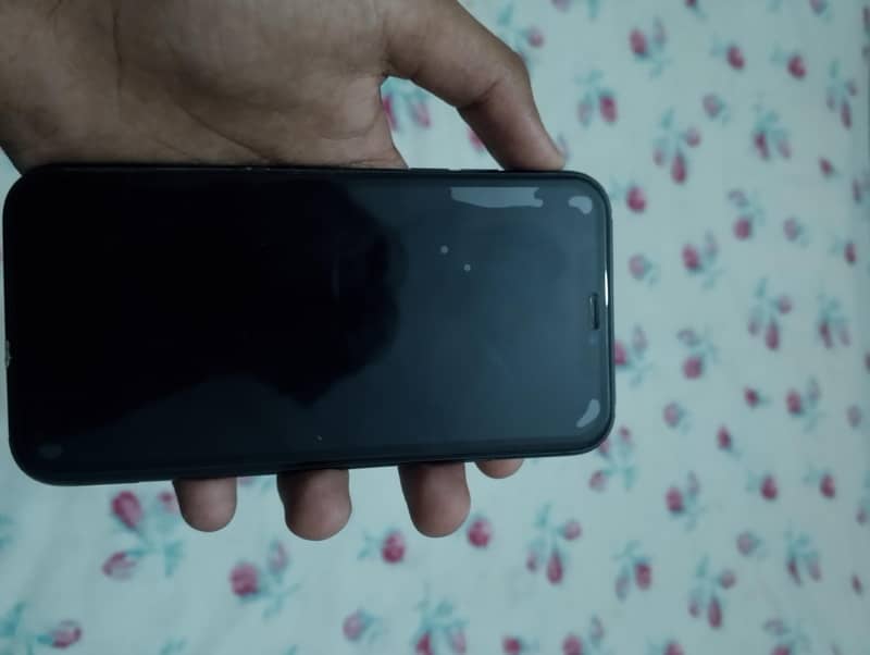 Apple iPhone 11 5