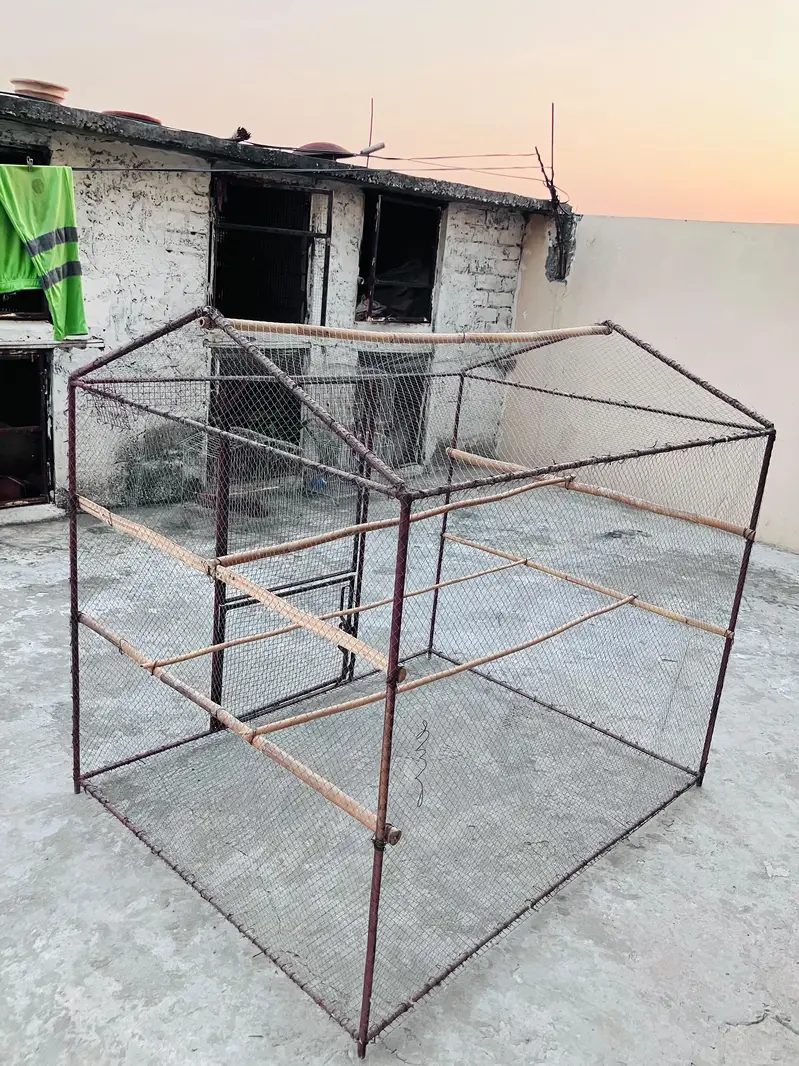 (4) Bird Cages For Sale . — photo 3