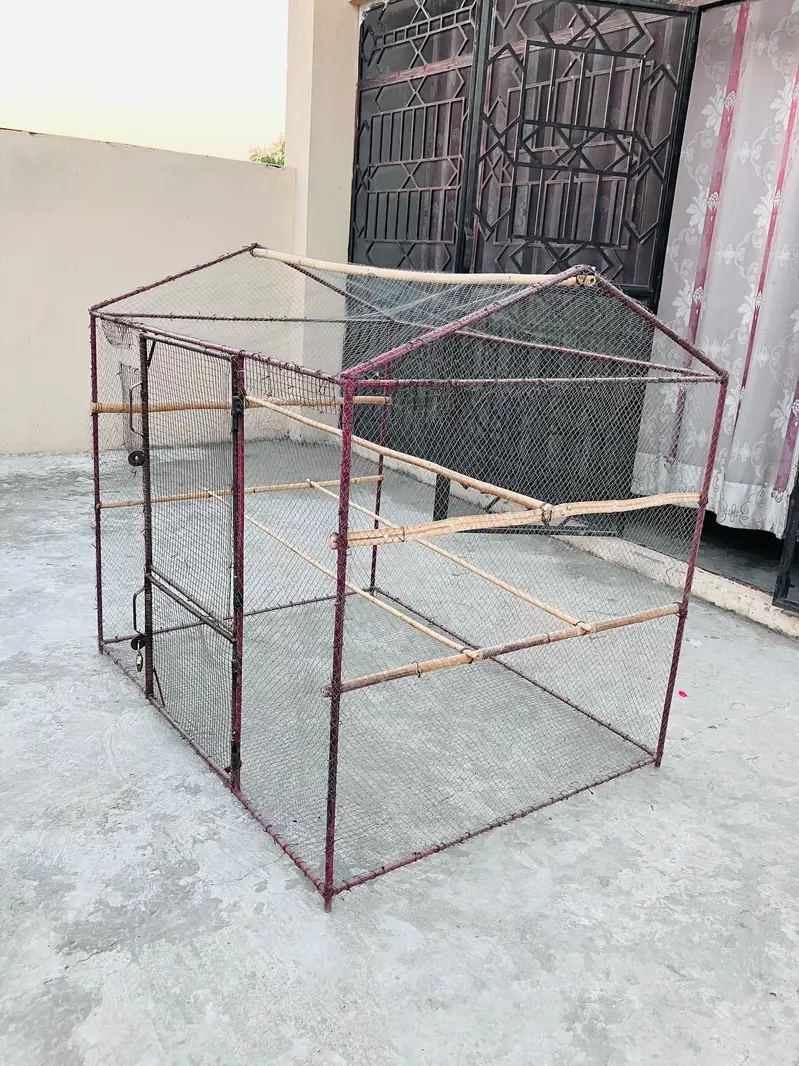 (4) Bird Cages For Sale . — photo 4