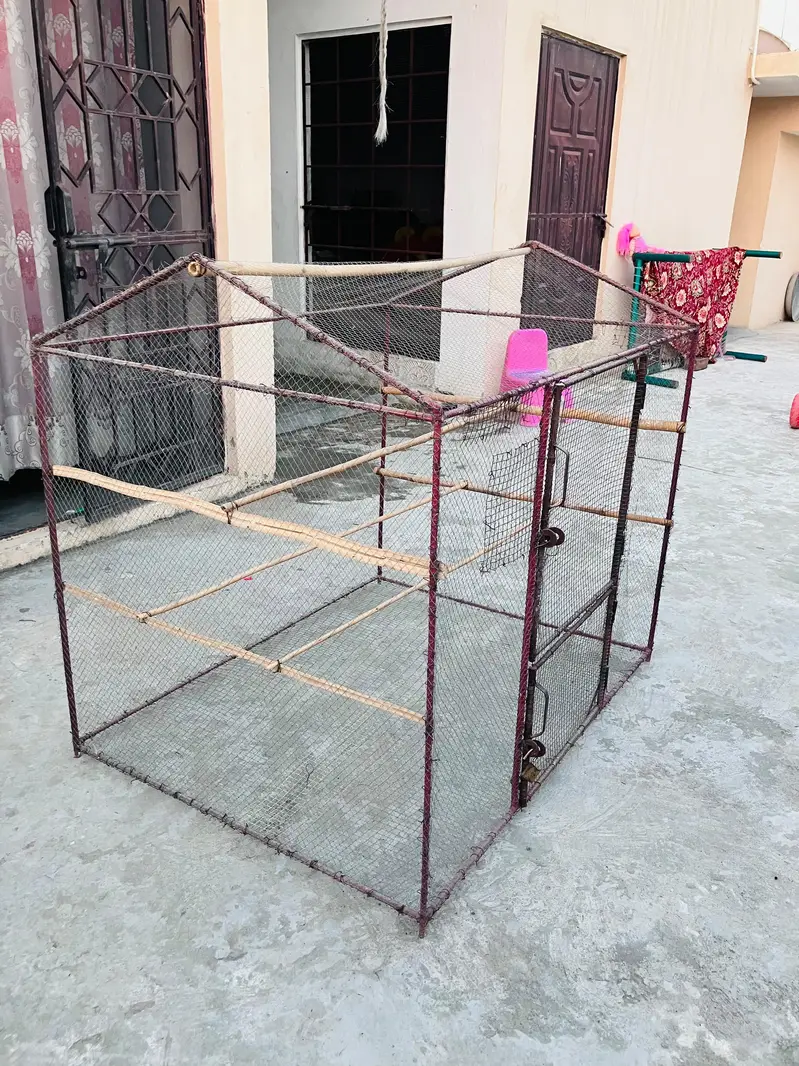 (4) Bird Cages For Sale . — photo 5