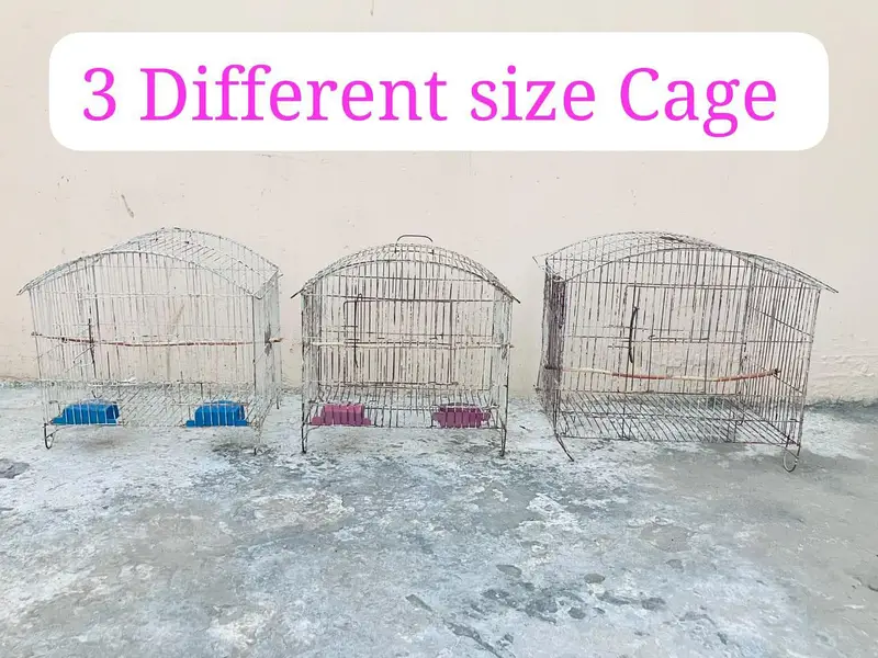 (4) Bird Cages For Sale . — photo 7