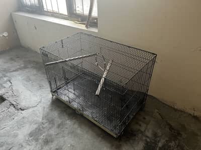 Iron Cage For Parrots