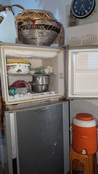 hair refrigerator