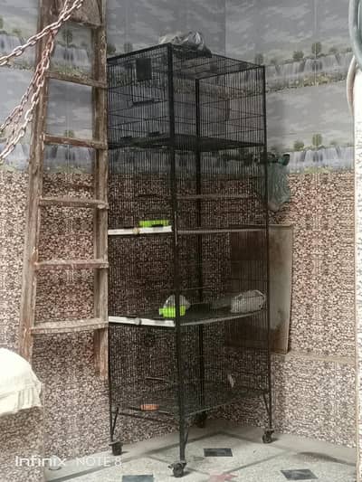 Cage for sel frysh