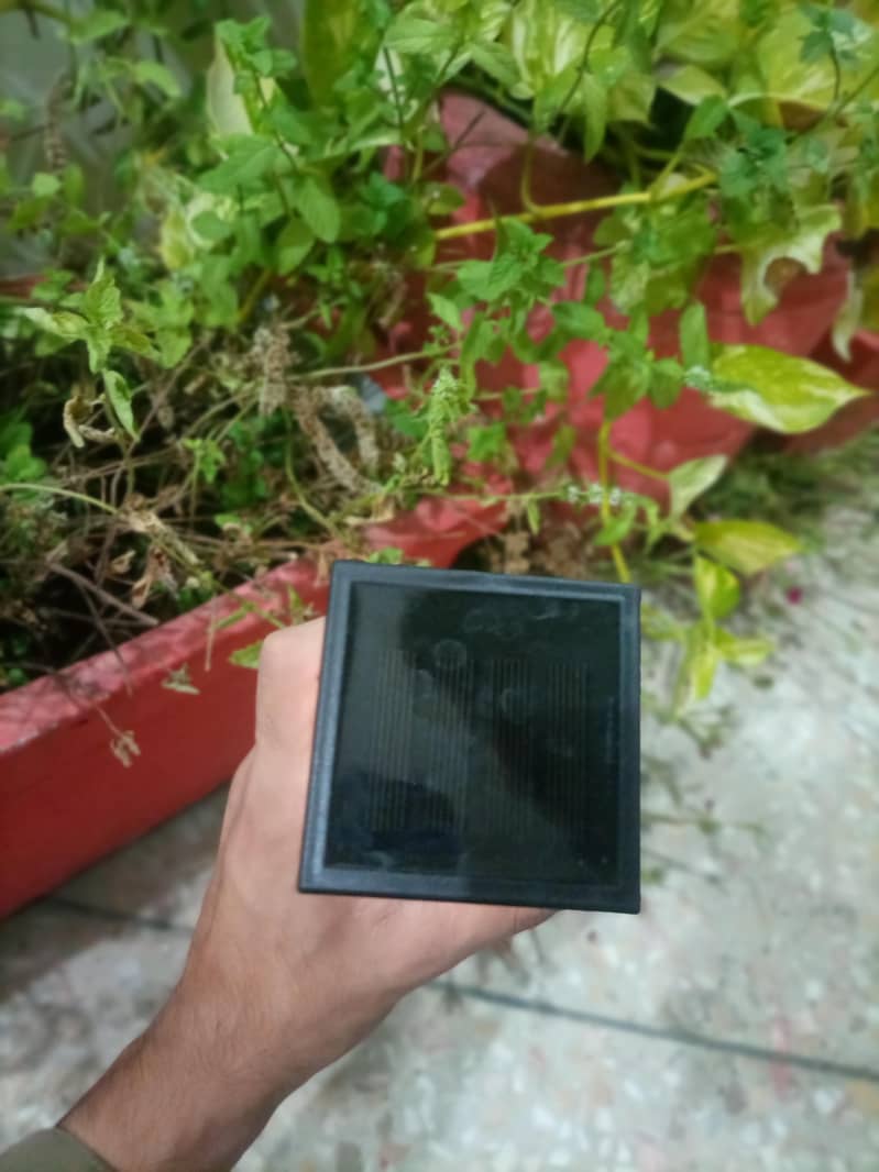 Solar light 5